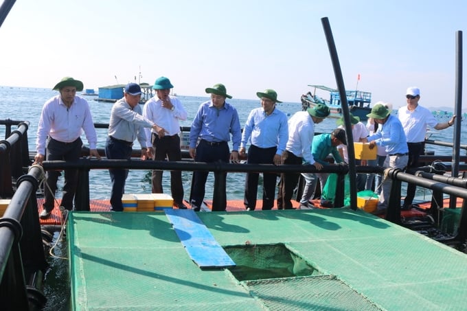 Khánh Hòa đang triển khai mô hình nuôi biển thí điểm 2 tầng lồng tại Cam Ranh. Ảnh: KS.